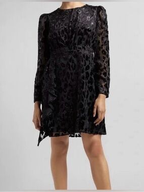 Express Black Velvet Burnout Long Sleeve Mini Dress with Sheer Sleeves